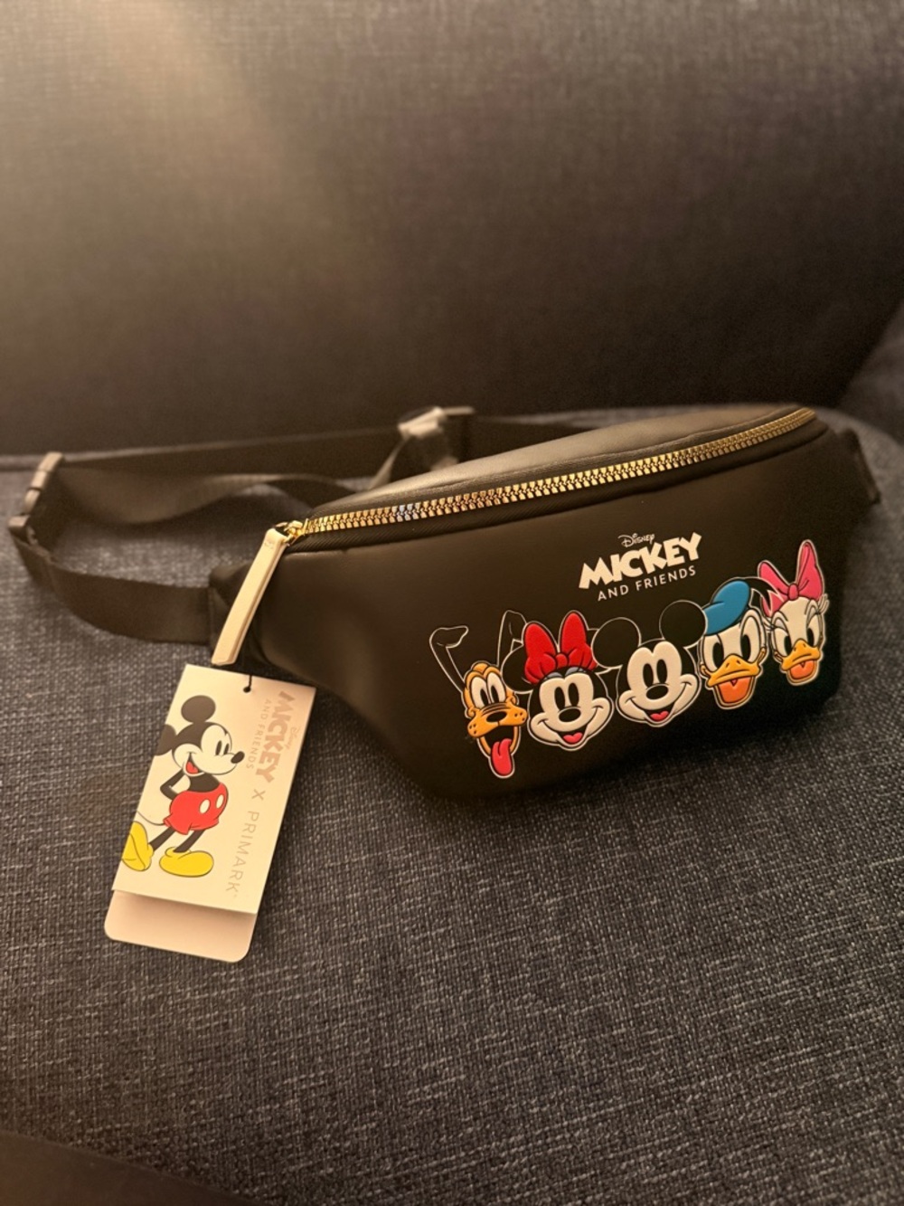 Disney Fanny Pack